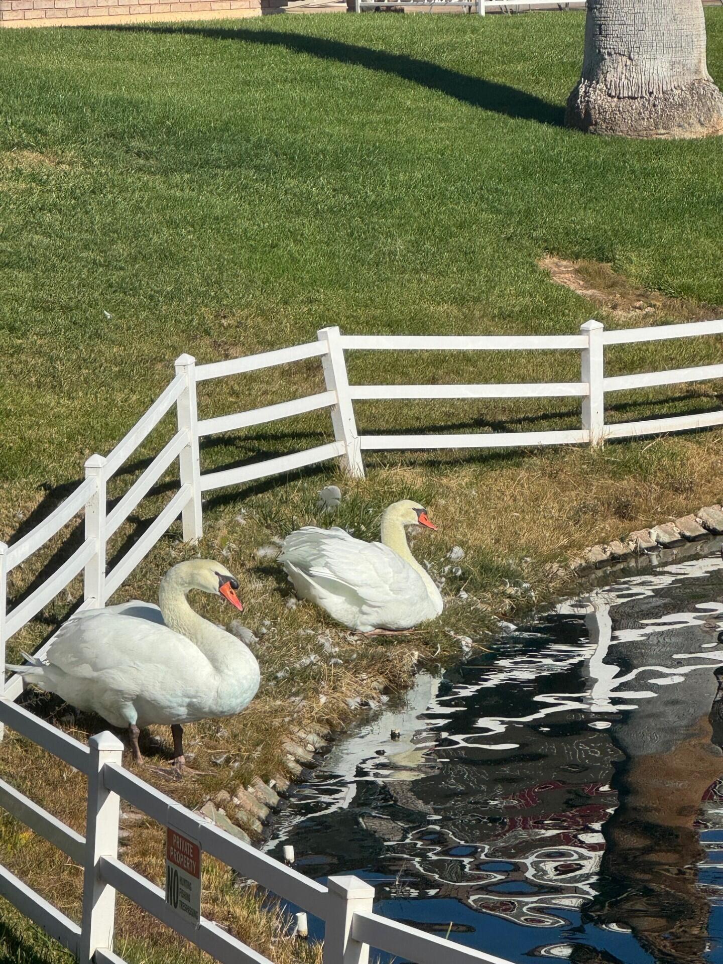 MEADOW CREEK ESTATES - Residential