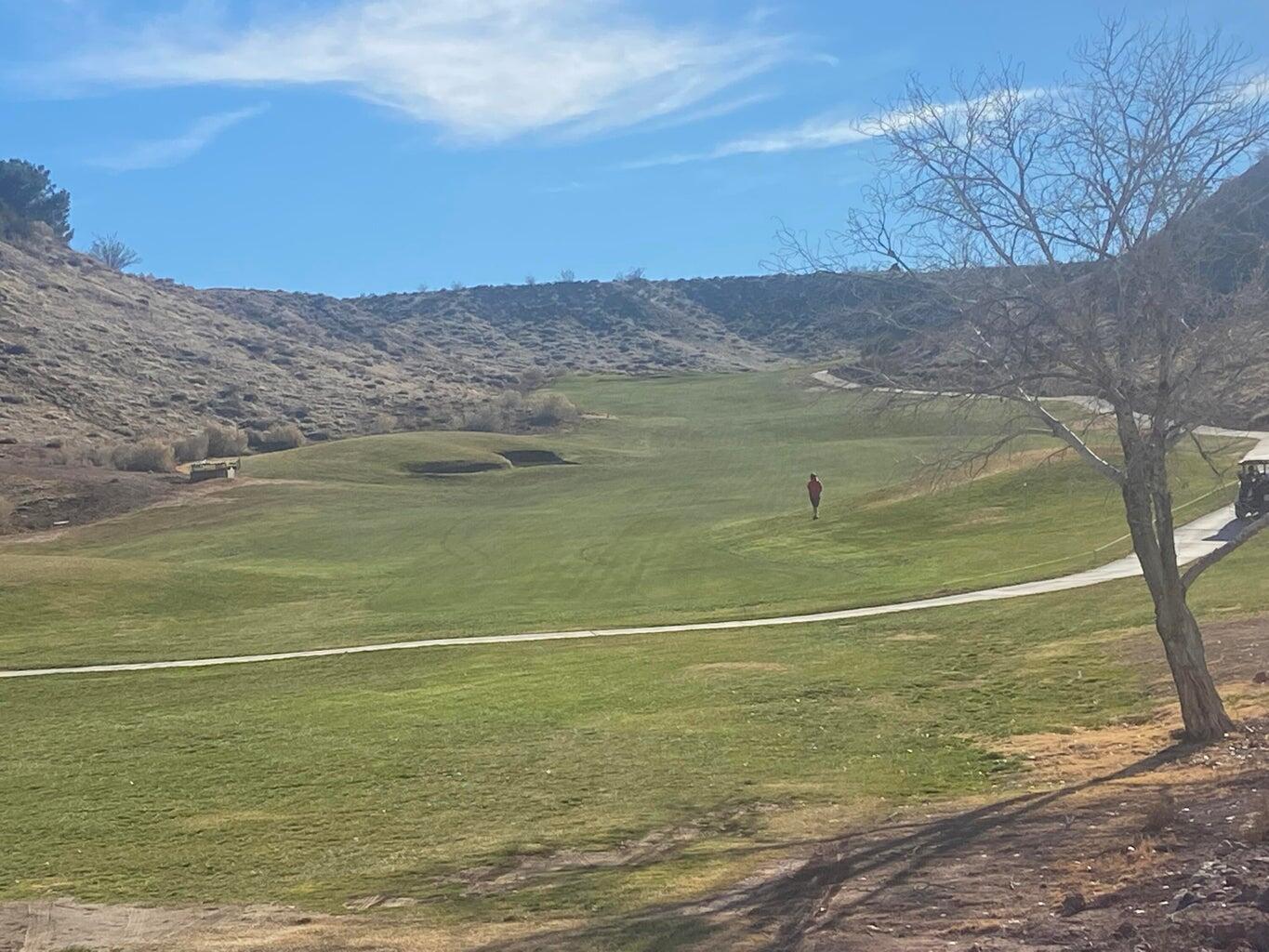 COVE AT SUNBROOK - Land