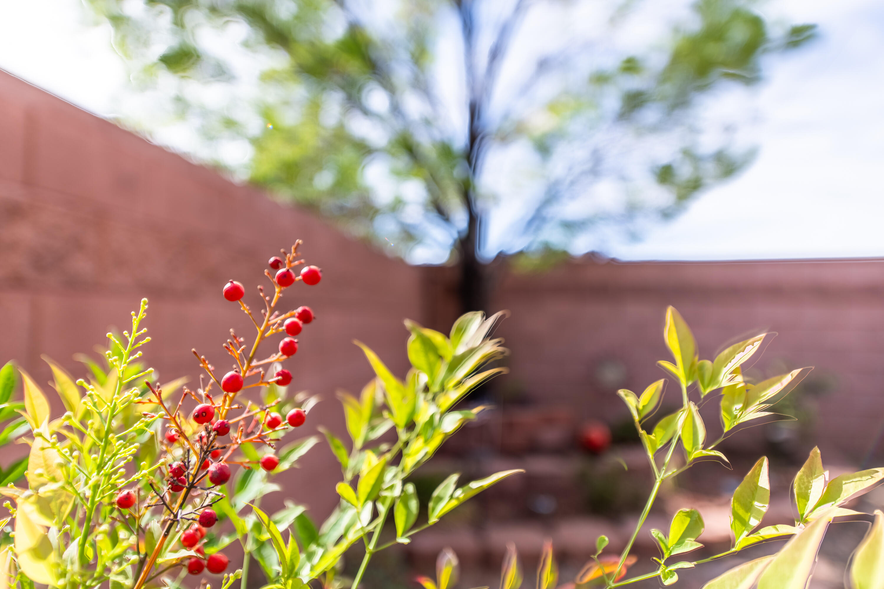 CORAL CANYON - Residential