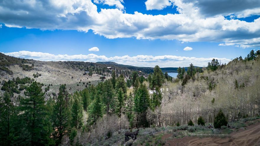 Private lot located at the end of a quiet cul-de-sac and bordering Dixie National Forest. Utilities located in the street with the HOA maintaining roads, you'll have year round access to the property.