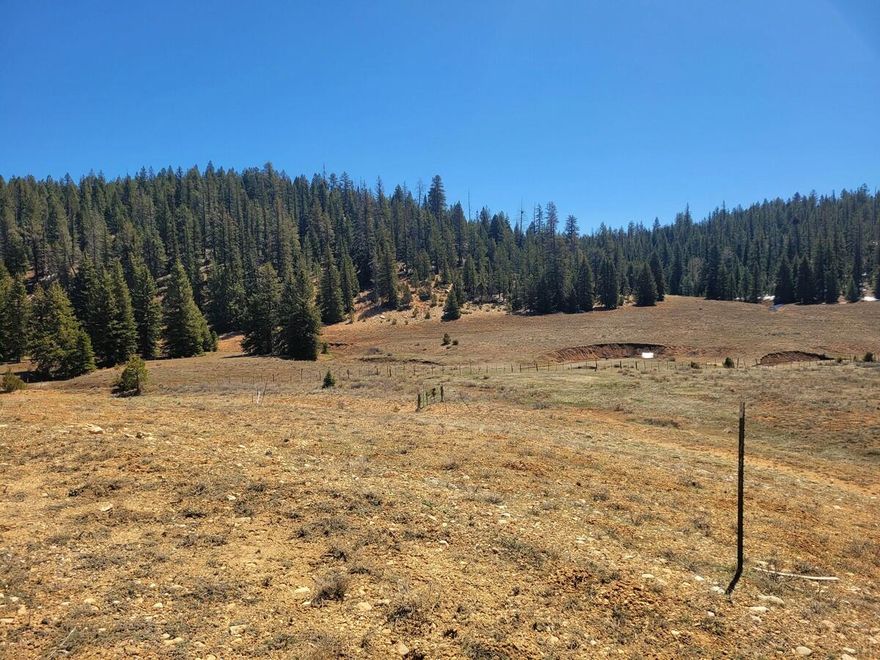 Come enjoy the mountain life in the Swains Creek subdivision just minutes from Duck Creek Village. This .67 acre lot has a gorgeous view looking across the meadow and towards the tree lined forest. The lot has a gentle slope towards the rear which would be ideal for a cabin with a walk out basement. Year round utilities including power, water, and landline communications are in the subdivision. The subdivision roads are also plowed during the winter months giving this lot city like utilities. Swains Creek Subdivision is a small community sitting within the National Forest between Duck Creek Village & Scenic Highway 89. Property owners are part of an association which maintains several common areas: fishing pond, pavilion, picnic tables, a landing strip, and a place for horses. RV's and short term rentals are not permitted on this lot. From Duck Creek Village it is a short drive to Zion or Bryce National Parks, North Rim of the Grand Canyon, Cedar Breaks National Monument and many other outdoor areas. Seller is willing to finance the sale with a minimum of 20% down and a maximum 8-year term. The neighboring lot is also available to purchase.