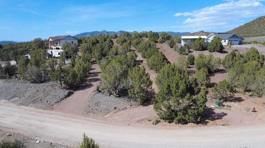 1.11-ac lot in Old Iron Town just minutes from Cedar City. Backs directly to National Forest with no rear neighbors--only wildlife, open space, and incredible privacy. The upward sloping terrain creates the perfect opportunity for an elevated build, maximizing breathtaking east-facing views of the Pine Valley Mountains and beautiful forest views to the west. Ideal for a custom home, cabin, or second retreat. Power and water are located at the front property line; water connection fee is $7,500. Improvements include a partial round driveway with compacted road base, septic hole excavation started, and perimeter groundwork completed. Soils report is completed and available. Enjoy peaceful rural living, dark night skies, abundant recreation, and convenient access to Cedar City for amenities.