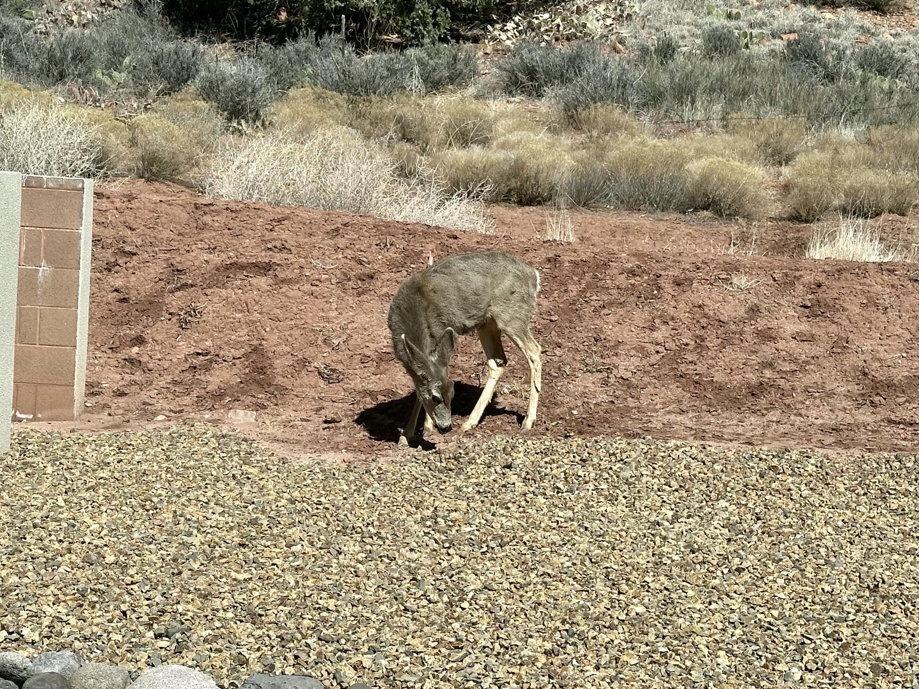 MOENAVE CONDO - Residential