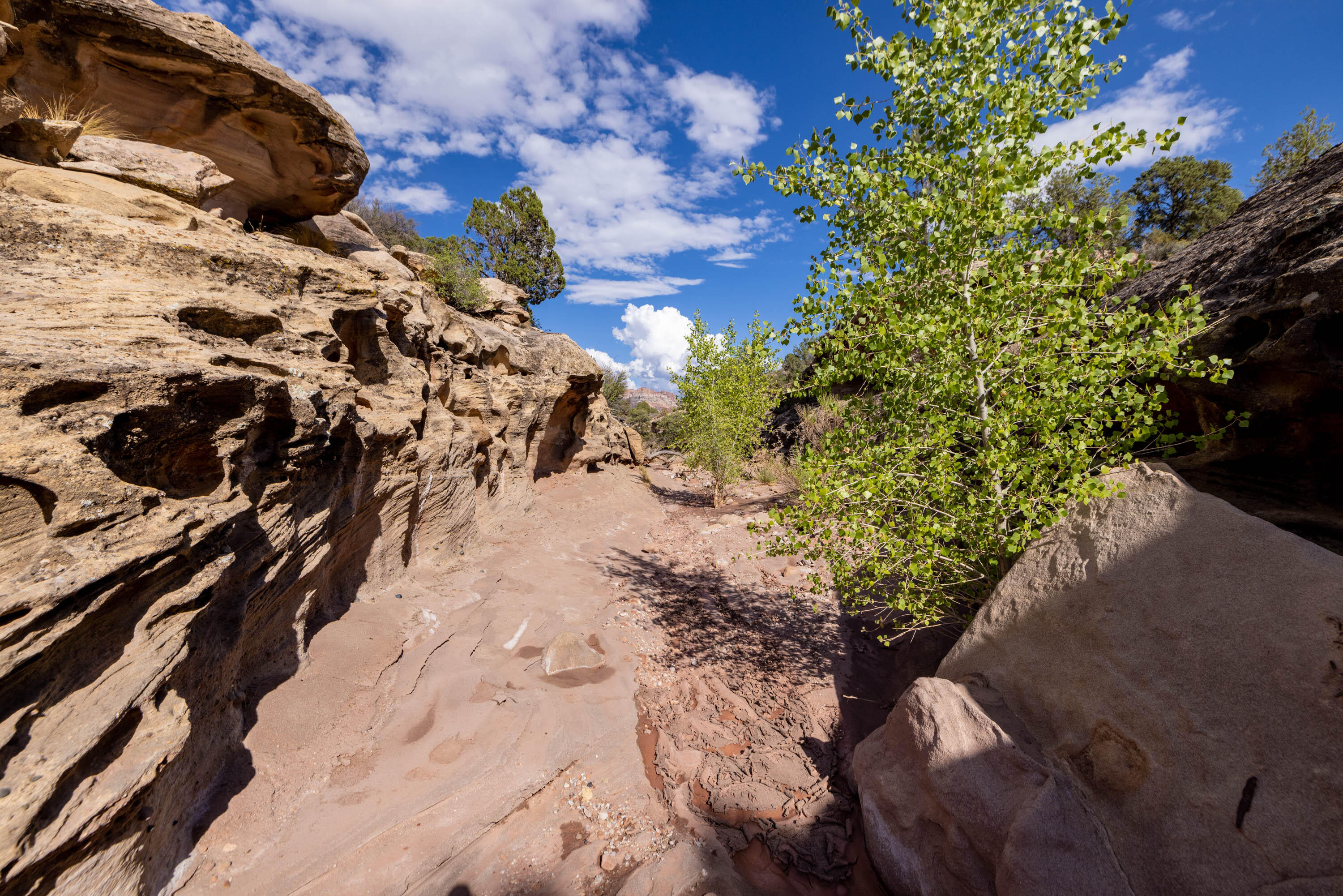 ANASAZI PLATEAU - Land