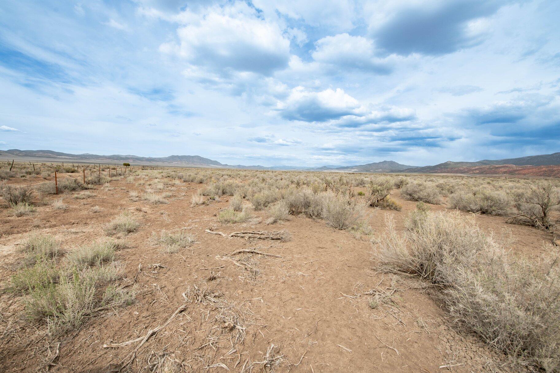 NOT AVAILABLE - Land