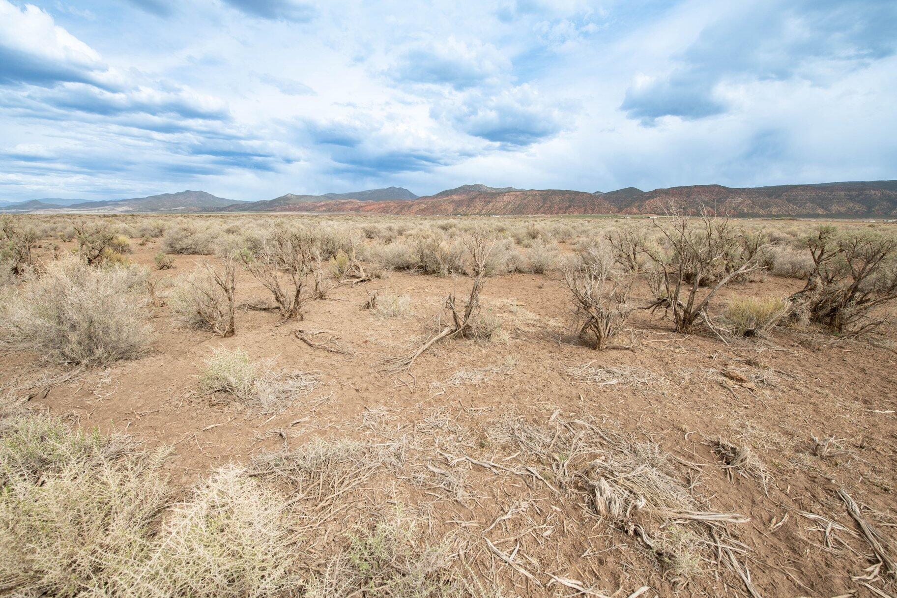 NOT AVAILABLE - Land