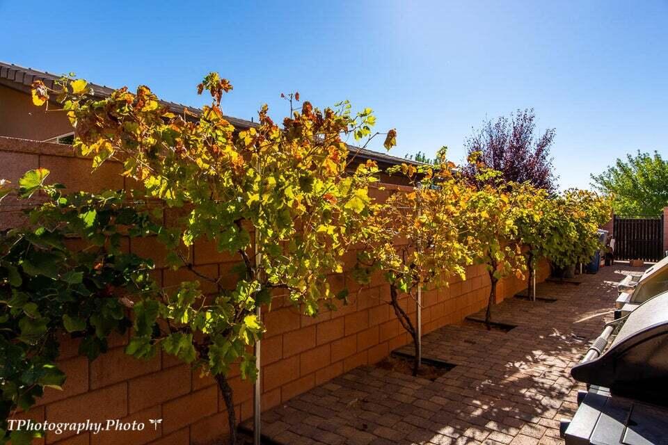 CORAL CANYON - Residential