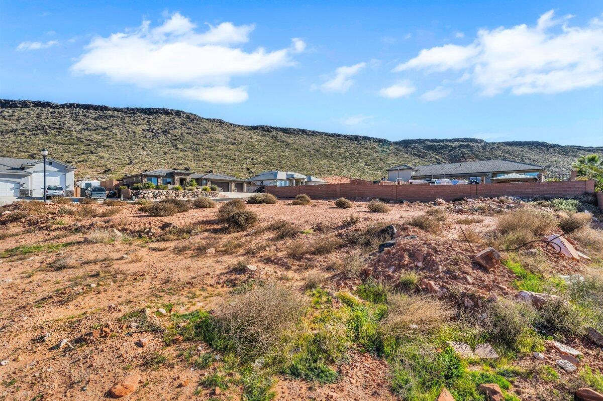 DIXIE SPRINGS - Land