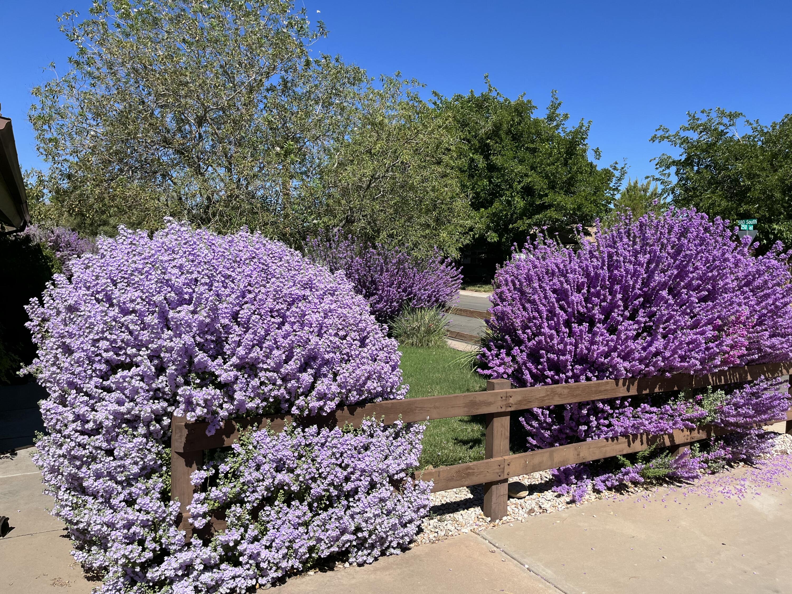 SUNSET ESTATES (I) - Residential