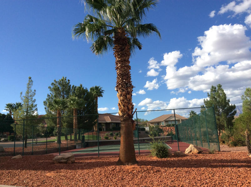 LAS ENTRADAS AT GREEN SPRING - Residential