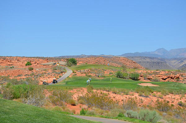 LAS ENTRADAS AT GREEN SPRING - Residential