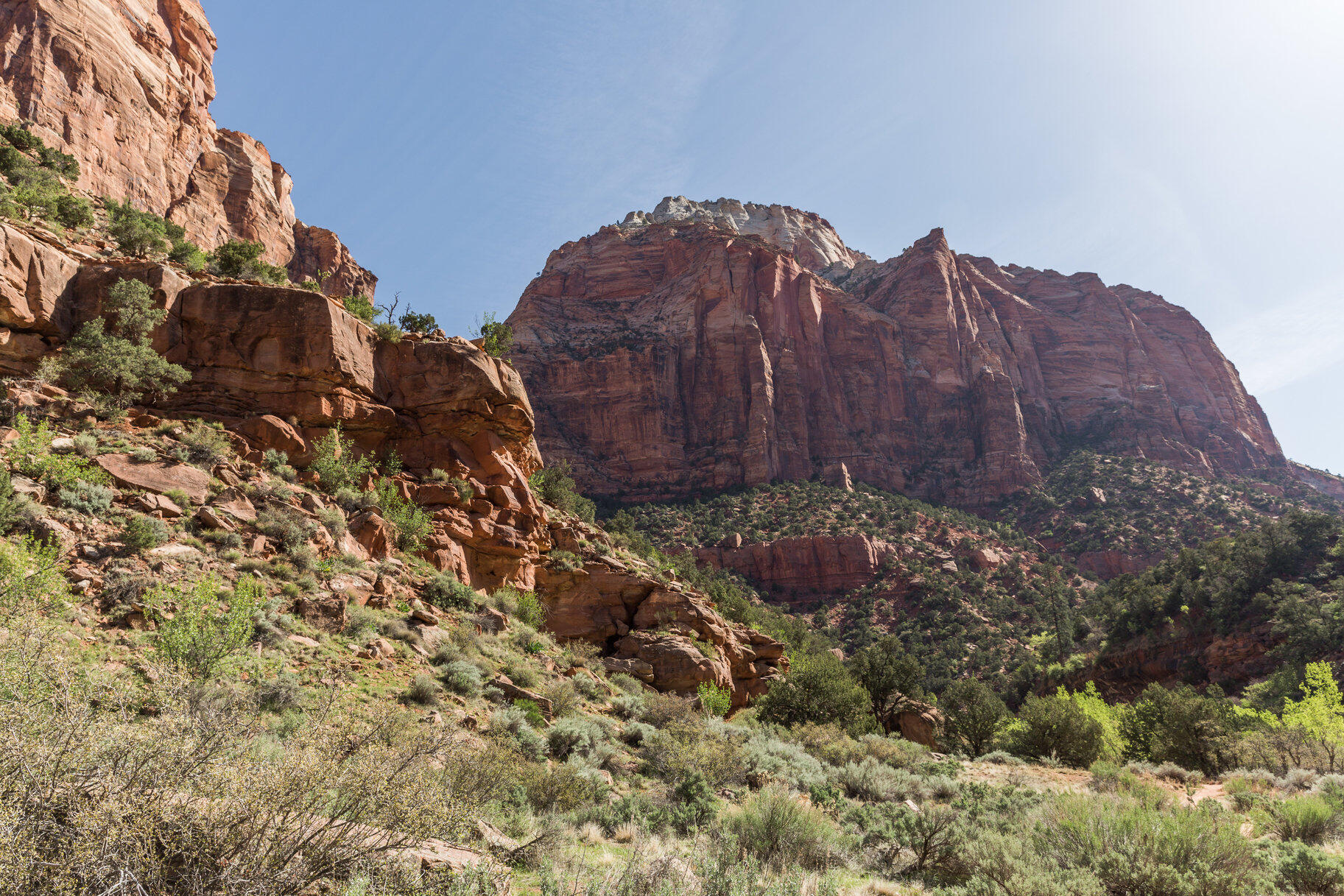 CANYON SPRINGS ESTATES - Residential