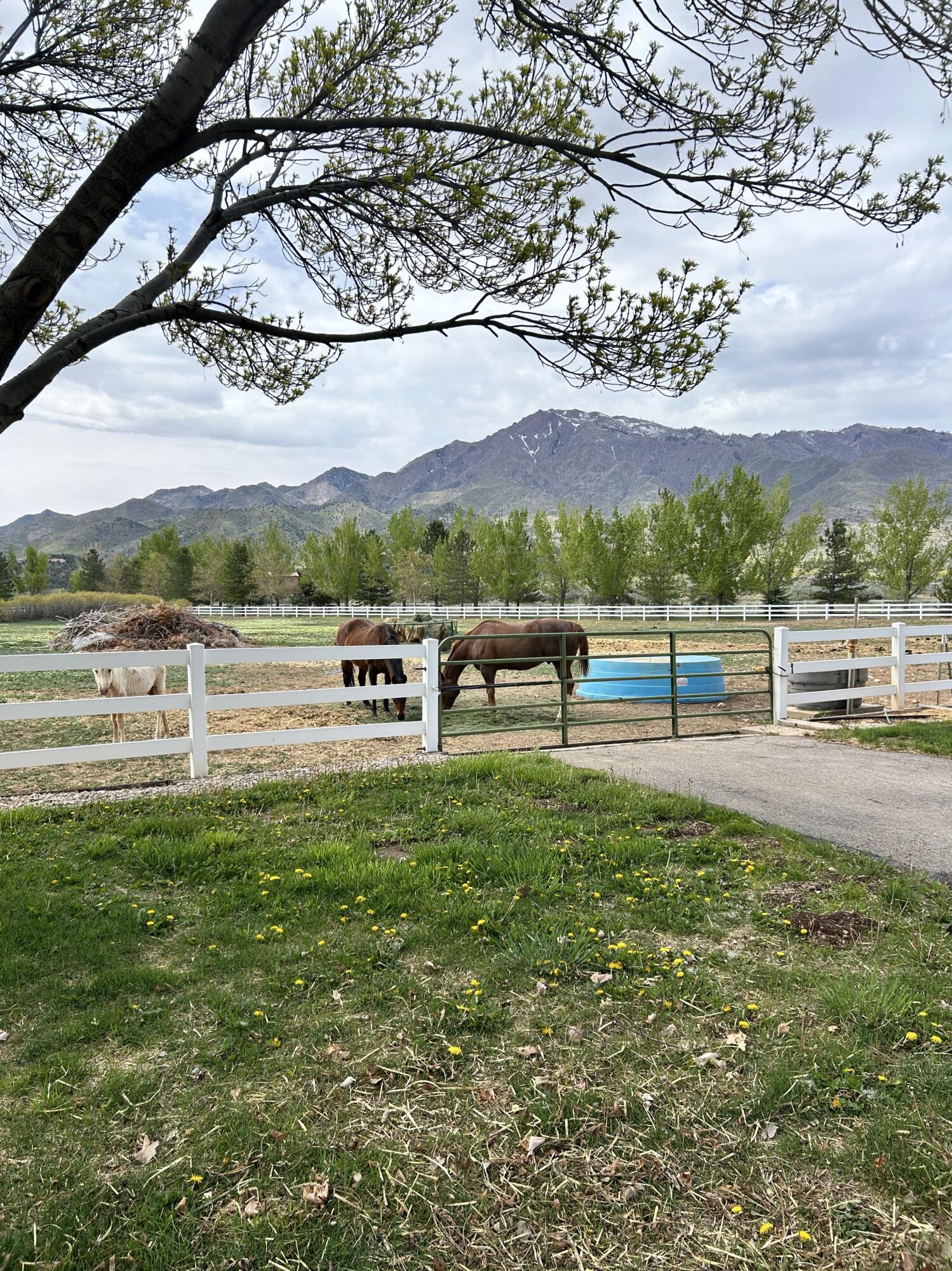 NEW HARMONY TOWNSITE - Residential