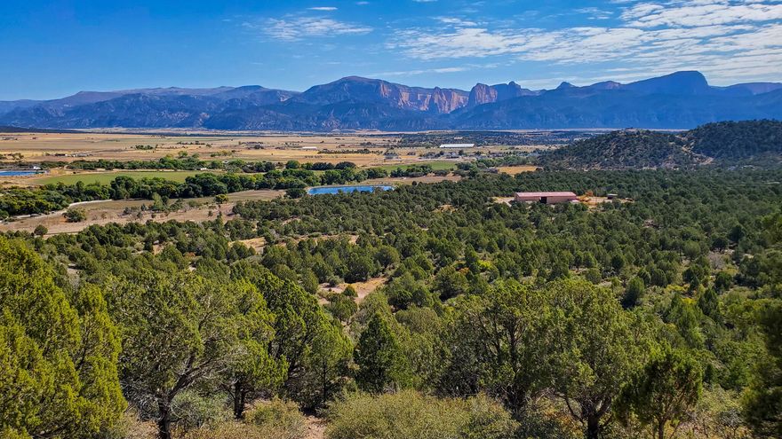 Nestled adjacent to the Dixie National Forest along its west and south boundaries, this breathtaking 81.29-acre property offers unparalleled natural beauty and privacy. With 360° panoramic views of Kolob Canyons in Zion National Park, the Pine Mountain range, and the picturesque New Harmony Valley, you'll be surrounded by the stunning landscapes Southern Utah is known for. Perfect for outdoor enthusiasts, the property is close to numerous trails, hunting grounds, and recreational opportunities. Roads have already been cut throughout the property, providing easy and private access, while power is conveniently located on the east side. For those seeking water resources, well water rights are available for purchase separately. Additionally, you can take in the expansive surroundings from the elevated "Eagles Nest," which offers spectacular views of the entire area. Whether you're looking to build a secluded retreat or simply enjoy the tranquility of this forested haven, this unique property delivers an exceptional opportunity to connect with nature.