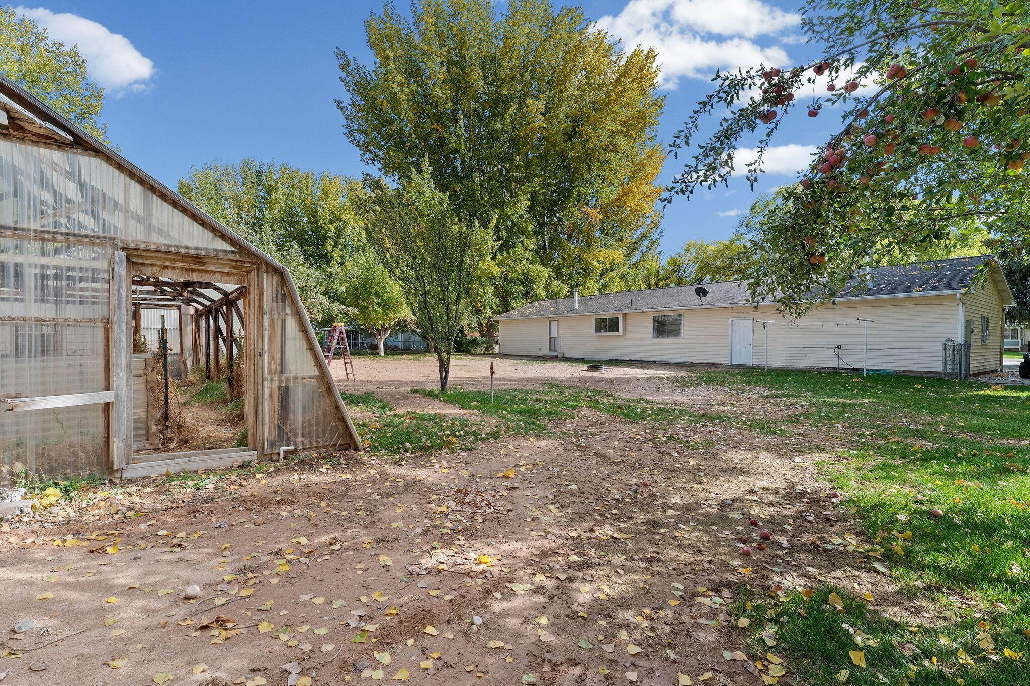 BUENA VISTA - Residential