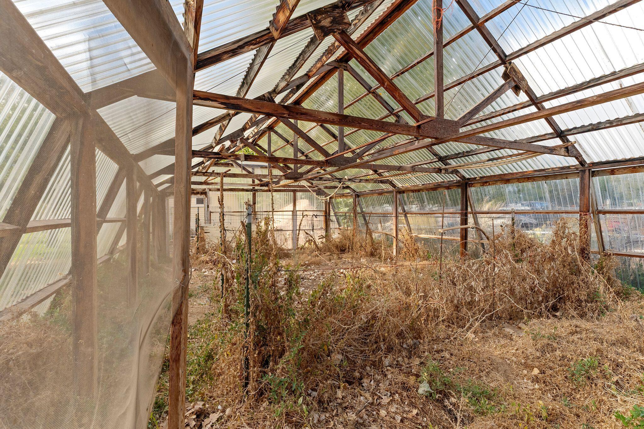 BUENA VISTA - Residential