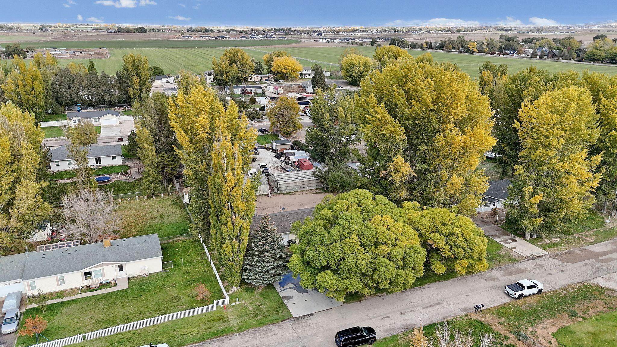 BUENA VISTA - Residential