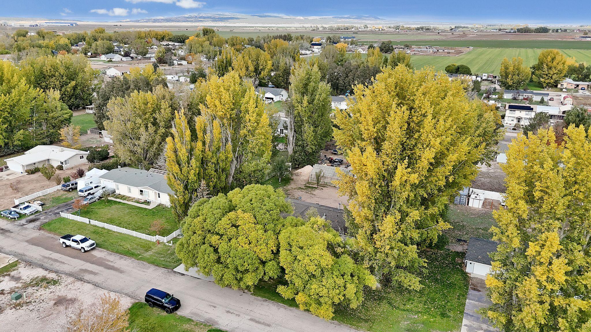 BUENA VISTA - Residential