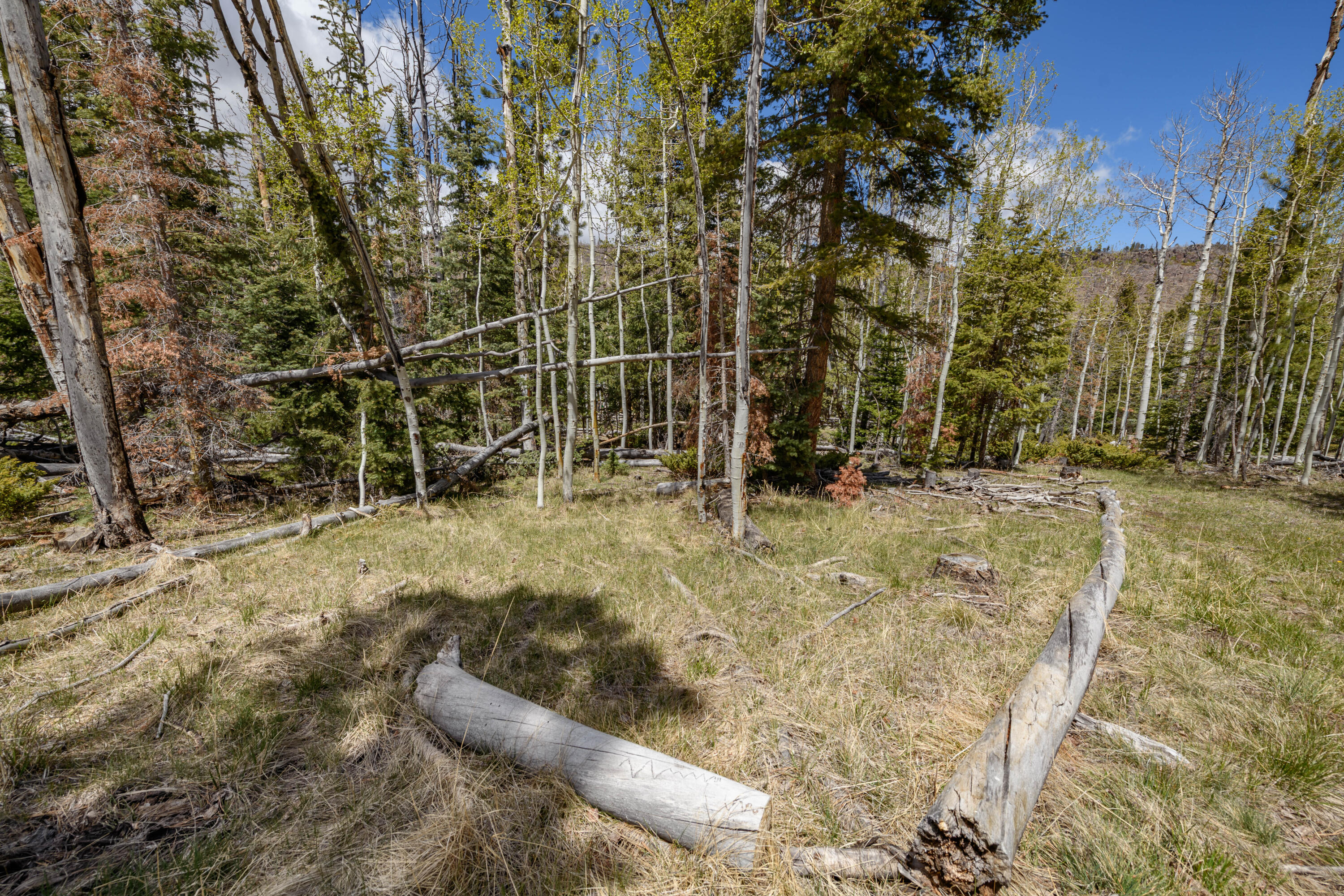 NOT AVAILABLE - Land