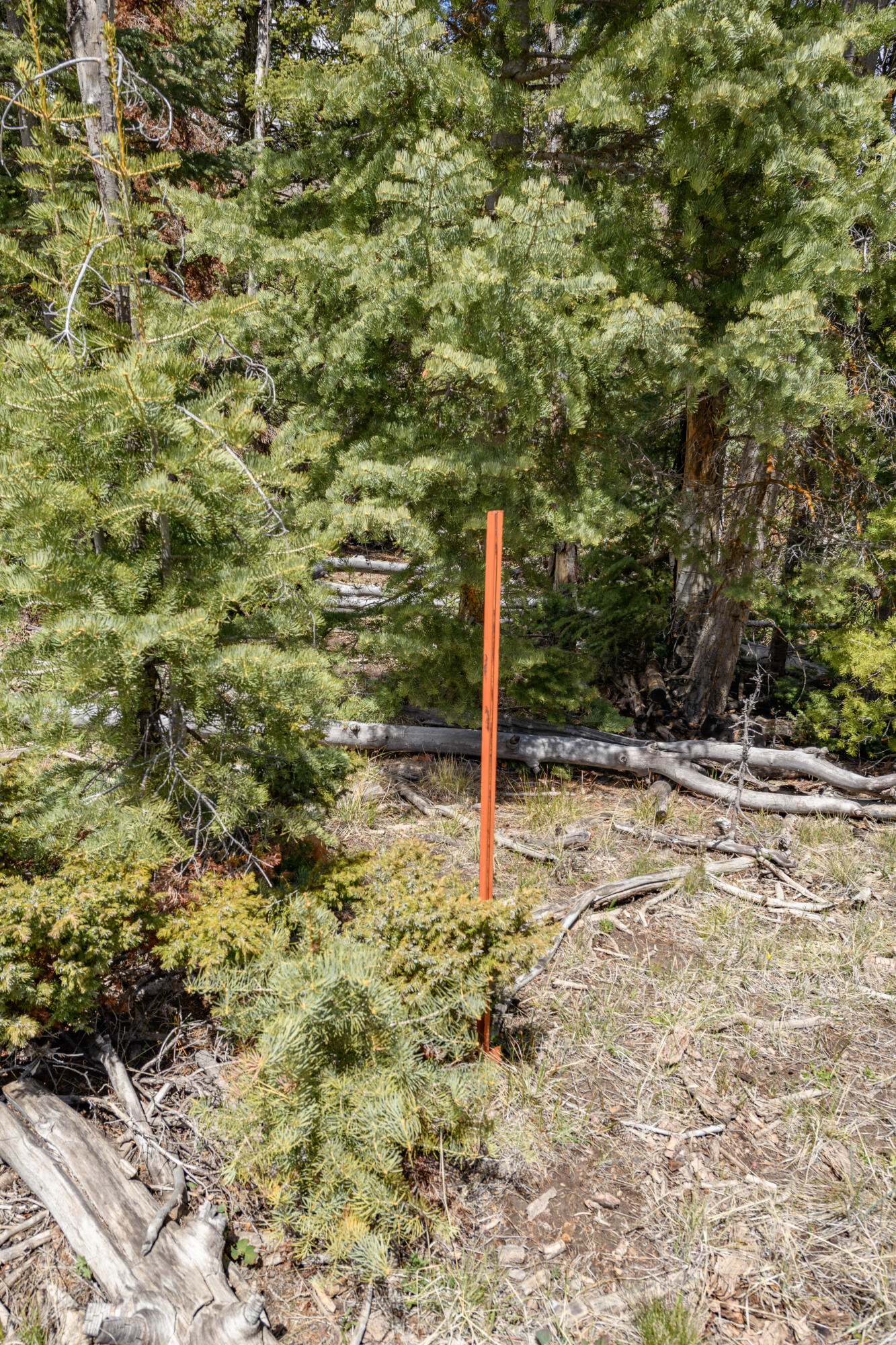 NOT AVAILABLE - Land