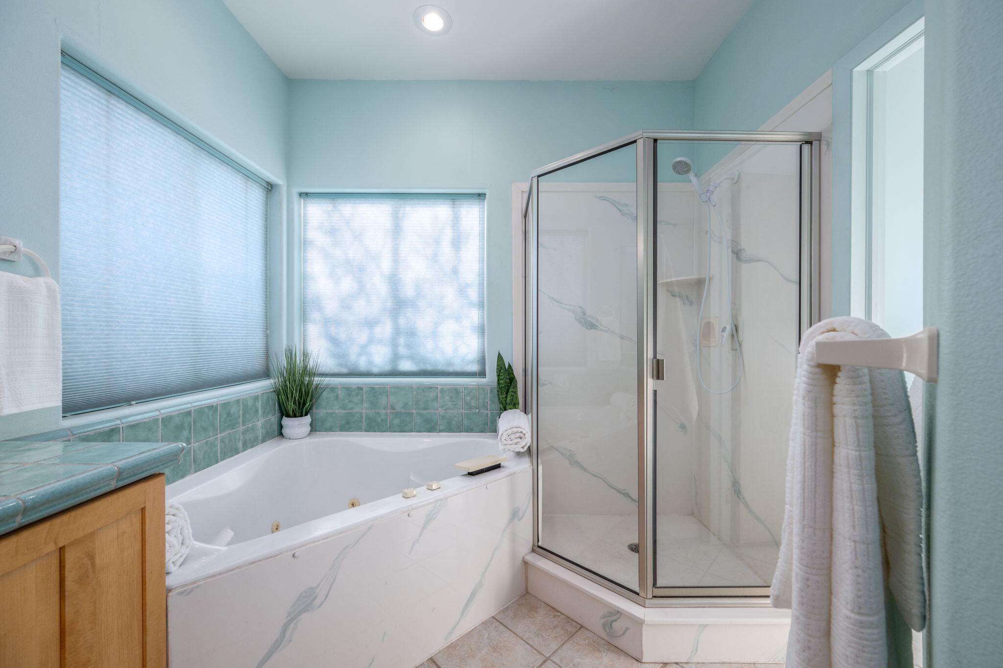 OCKEY HOLLOW - Residential