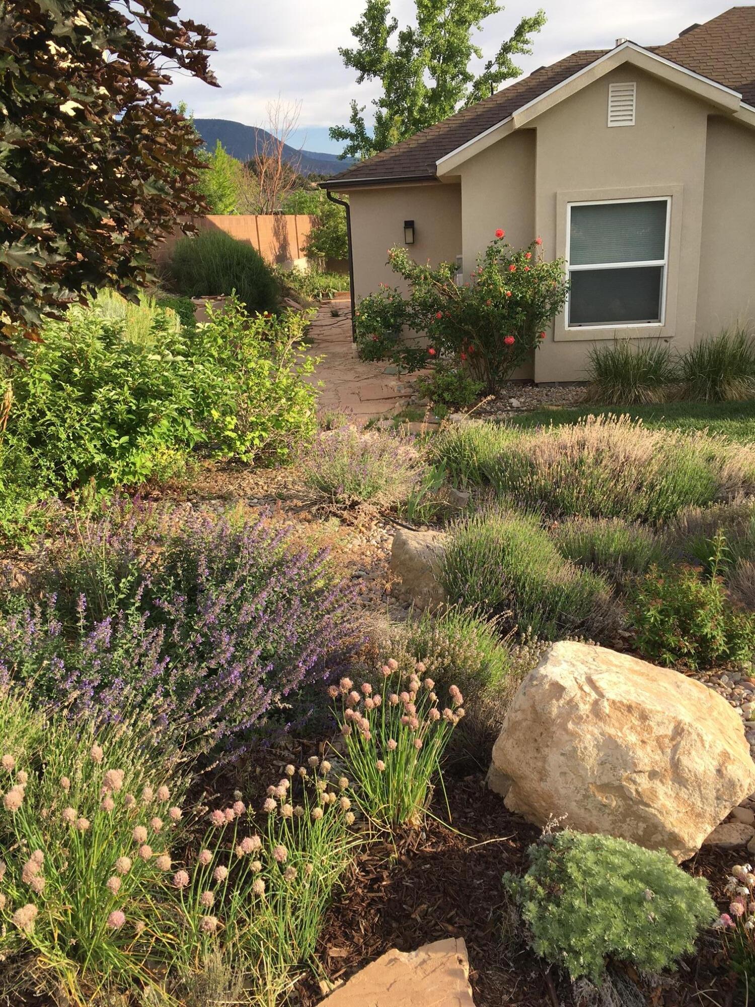 CANYON RIDGE - Residential