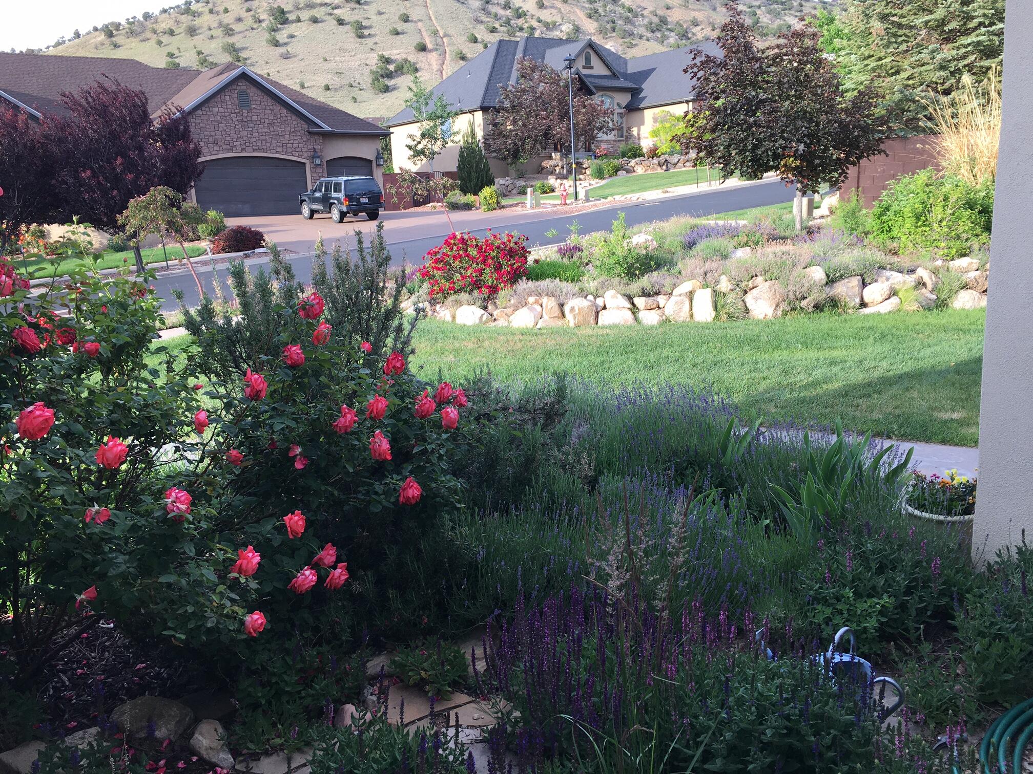 CANYON RIDGE - Residential