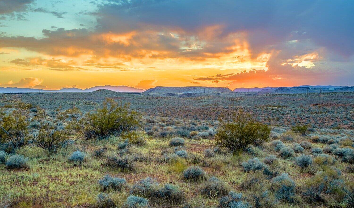 WESTGATE HILLS - Residential