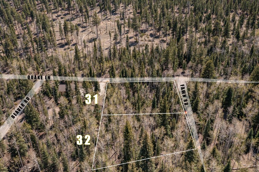 These lots are build-ready, with power available and water supplied through
shared well agreement with the Seller. The water is known locally for its clean, refreshing
mountain quality and taste (please note, there are no water rights being transferred with the
land). And while nearby areas like Duck Creek have become busier and more expensive, this
quieter pocket near Panguitch Lake remains more affordable and less discovered. A nearby
stream and sweeping high-country views create an ideal setting for your cabin, getaway, or
long-term mountain investment. Enjoy cool summer temperatures, crisp mountain air, and endless outdoor recreationfishing, boating,
hiking, ATV riding, dirt biking, horseback trails, winter fun at Brian Head Resort, and the stunning wonders of Cedar Breaks, Bryce Canyon, Zion National Park, Escalante, and the
popular Duck Creek Village area. "Panguitch" comes from the Paiute word for "big fish," and the
region lives up to its name with excellent trout fishing and year-round adventure.
Whether you're dreaming of a cozy cabin or a peaceful retreat away from city life and desert
heat, this location delivers. Nearly year-round access, natural surroundings, and proximity to
some of Southern Utah's most iconic landscapes make these lots a standout opportunity.
Seller is willing to build to suit, or you may bring your own builder. Seller financing available.