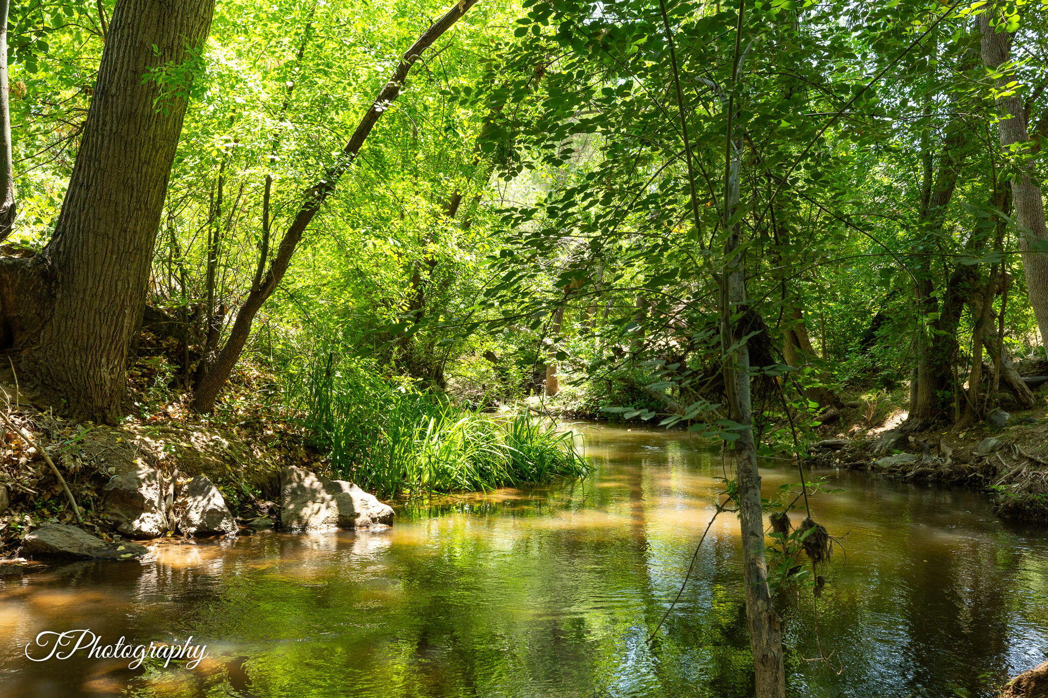 BROOKSIDE ESTATES - Residential