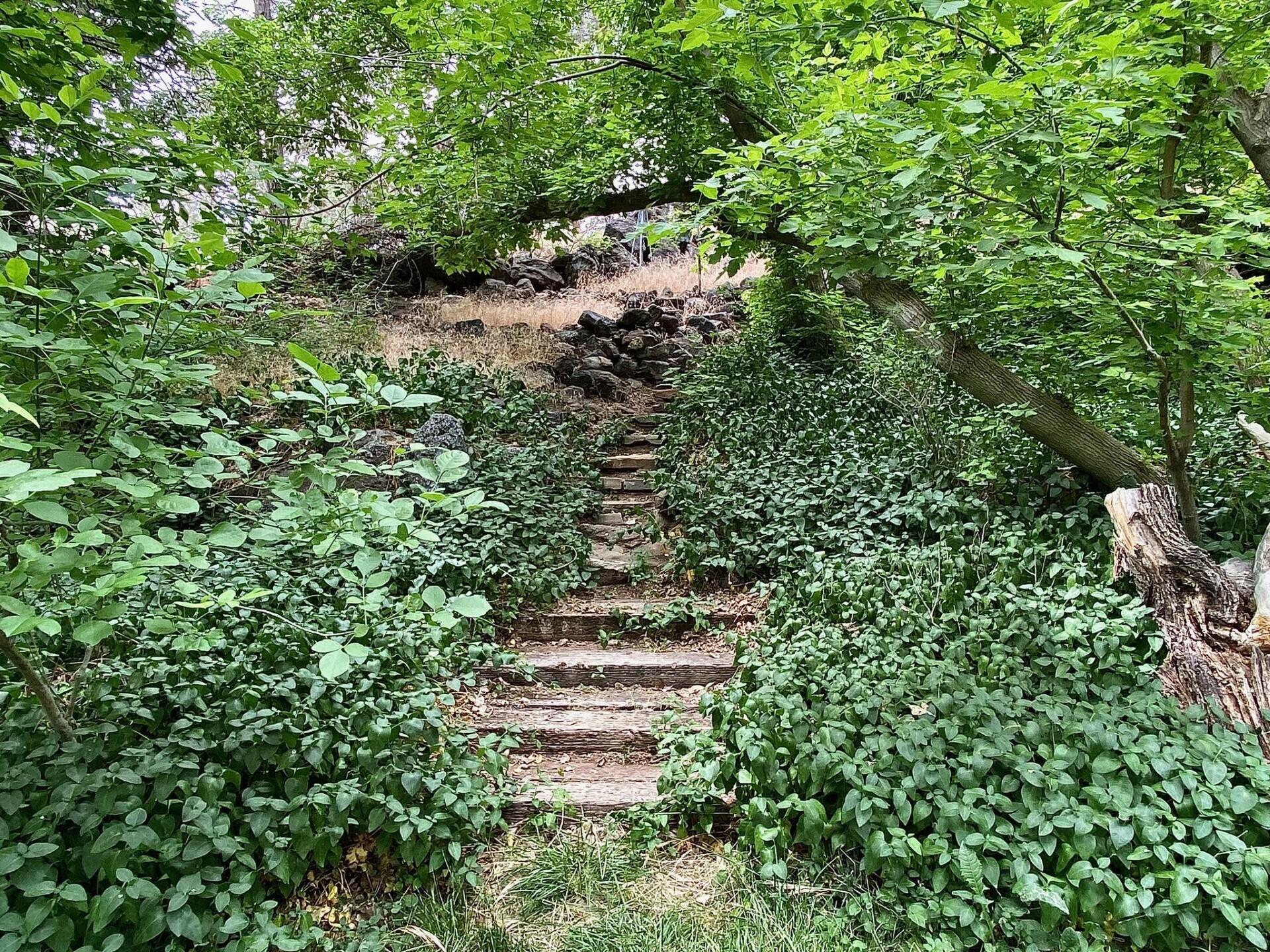 BROOKSIDE ESTATES - Residential