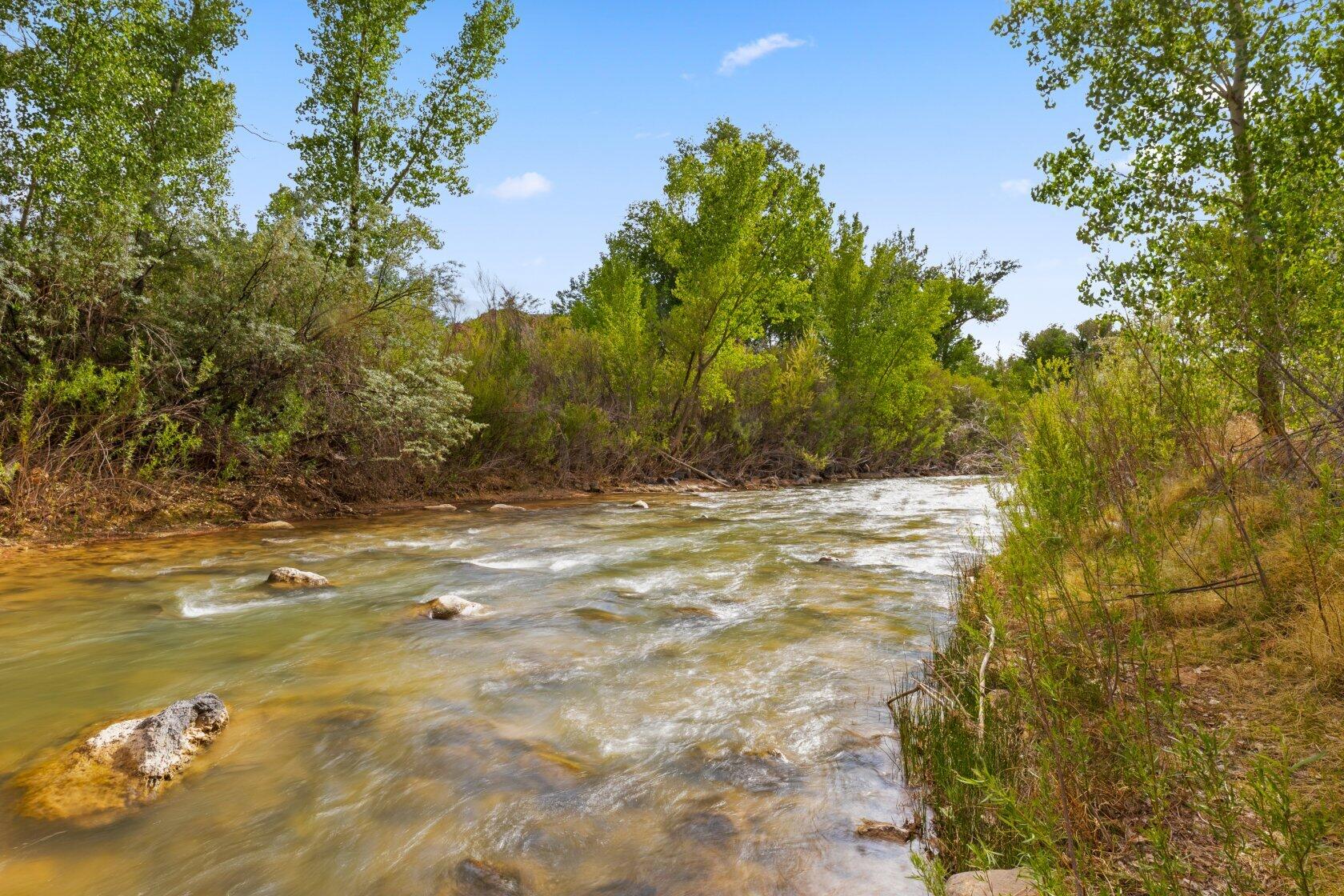 ROCKVILLE TOWNSITE - Residential