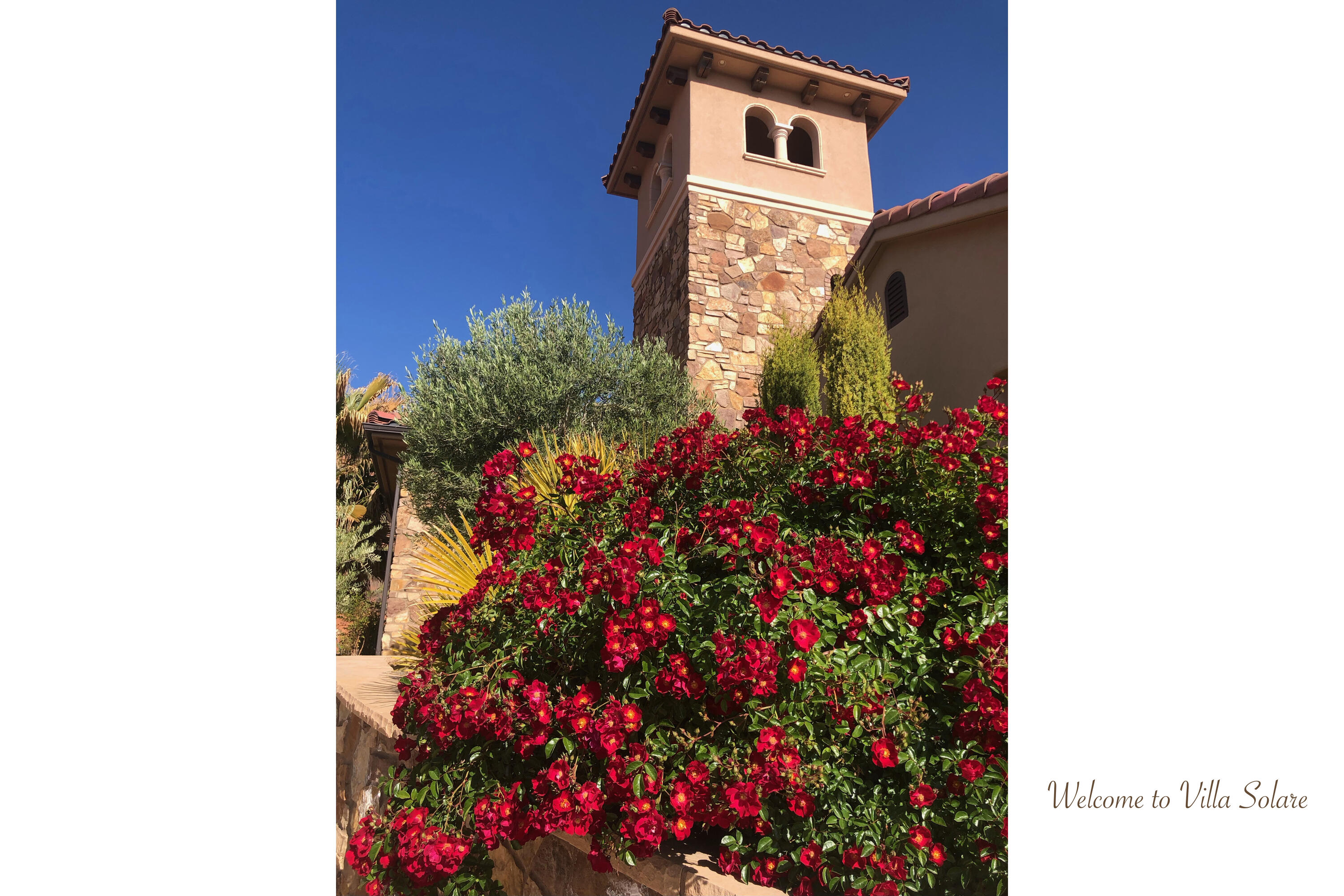 WESTGATE HILLS - Residential