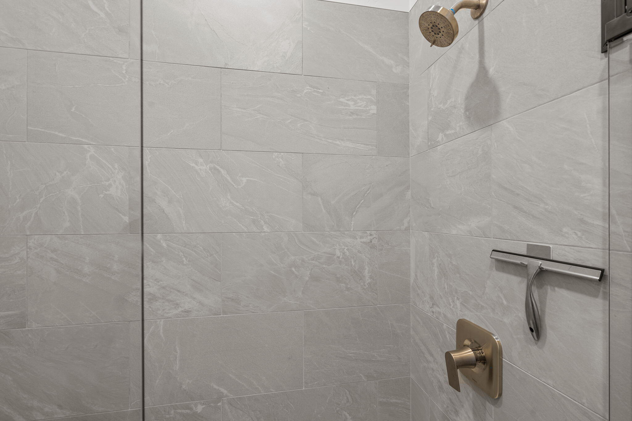 DIXIE SPRINGS - Residential