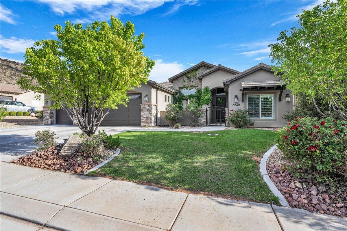 DIXIE SPRINGS - Residential