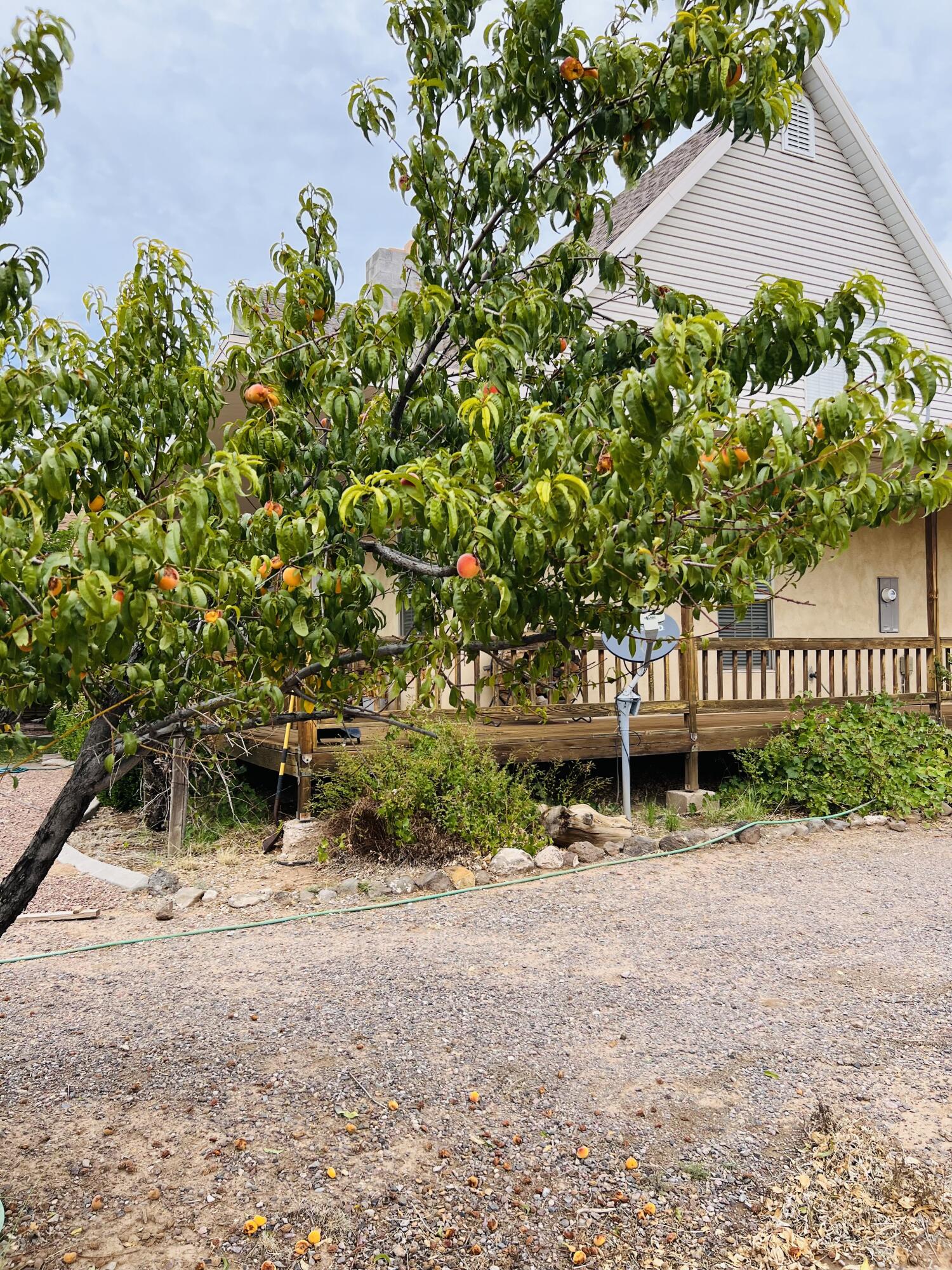 DAMMERON VALLEY OLD FARM - Residential