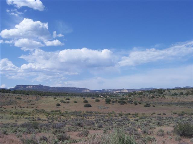 ''Beautiful Ranch Property'' close to the East Entrance of Zion National Park near Mt. Carmel Junction. Located in the heart of some of the most magnificent scenery. Close to Southern Utah National Parks and Lake Powell. This ''Old Ranch Land'' offer endless possibilities. It is comprised of 4 connecting parcels. Includes 50.6 ac ft of water which irrigates 12.656 acres. Property is in ''Green Belt''. Includes a 25 AUM permit. Access from a well maintained County Road.