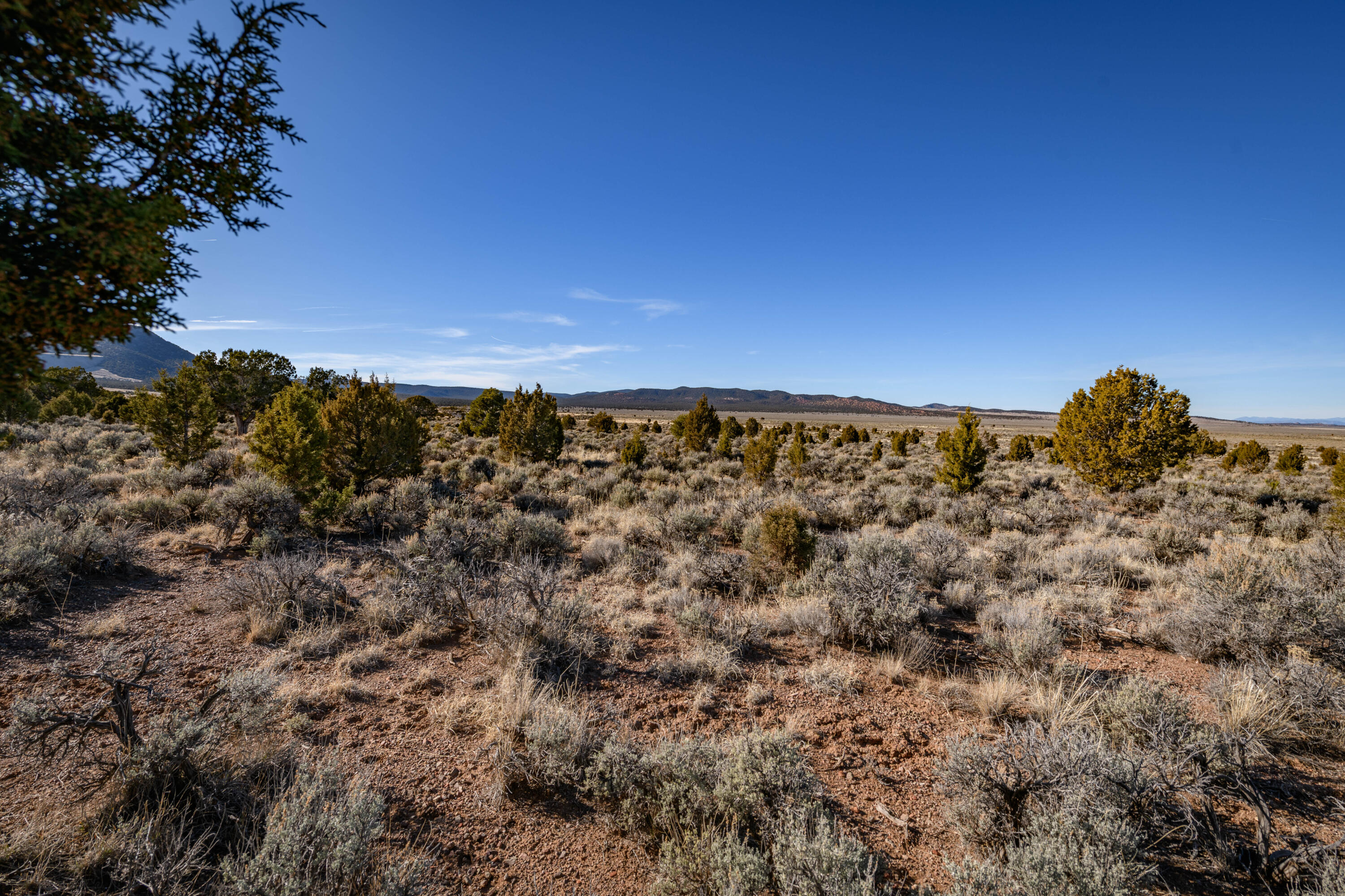 NOT AVAILABLE - Land