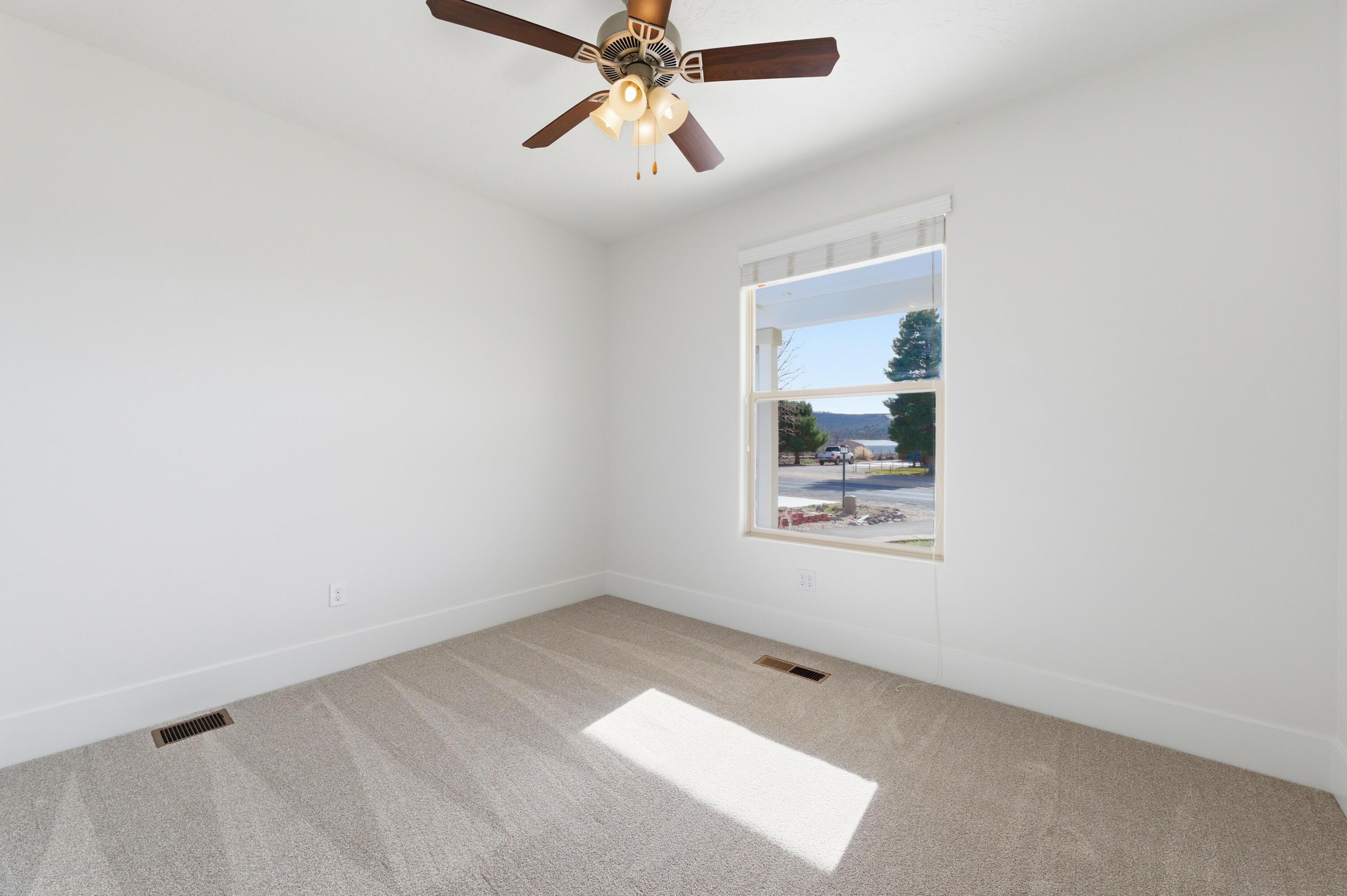 DIAMOND VALLEY ACRES - Residential