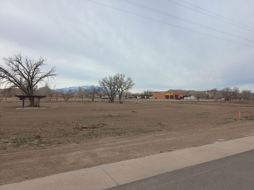 Rare commercial development opportunity in Hanksville! This flat, usable half-acre lot at provides a clean slate for your next business venture. Situated in a high-traffic corridor for outdoor enthusiasts, the property offers excellent road frontage and easy accessibility. With approximately 21,780 square feet of land, there is ample room for custom building and dedicated parking. This is a strategic acquisition for any investor looking to capitalize on the increasing popularity of Utah's Red Rock country. This is 9A parcel. Lot 9B is also for sale.