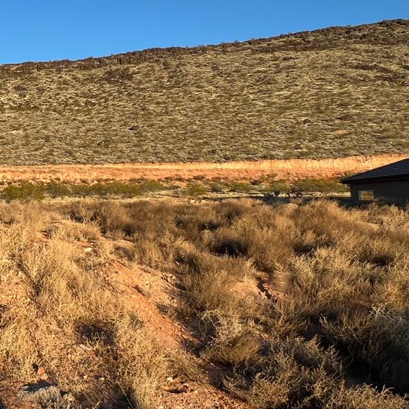 DIXIE SPRINGS - Land