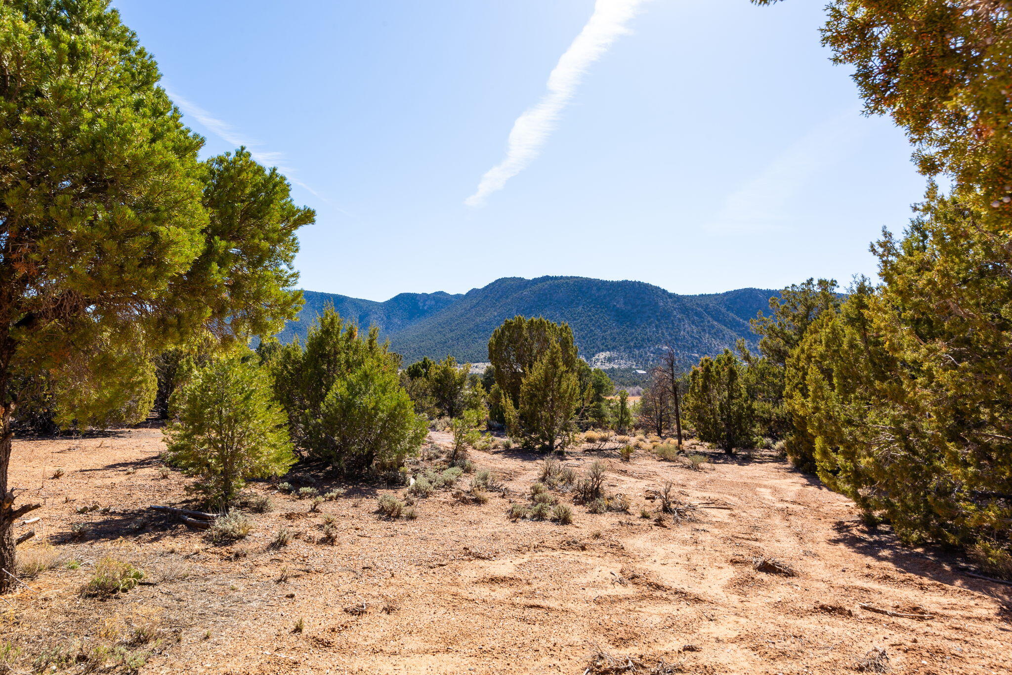 NOT AVAILABLE - Land