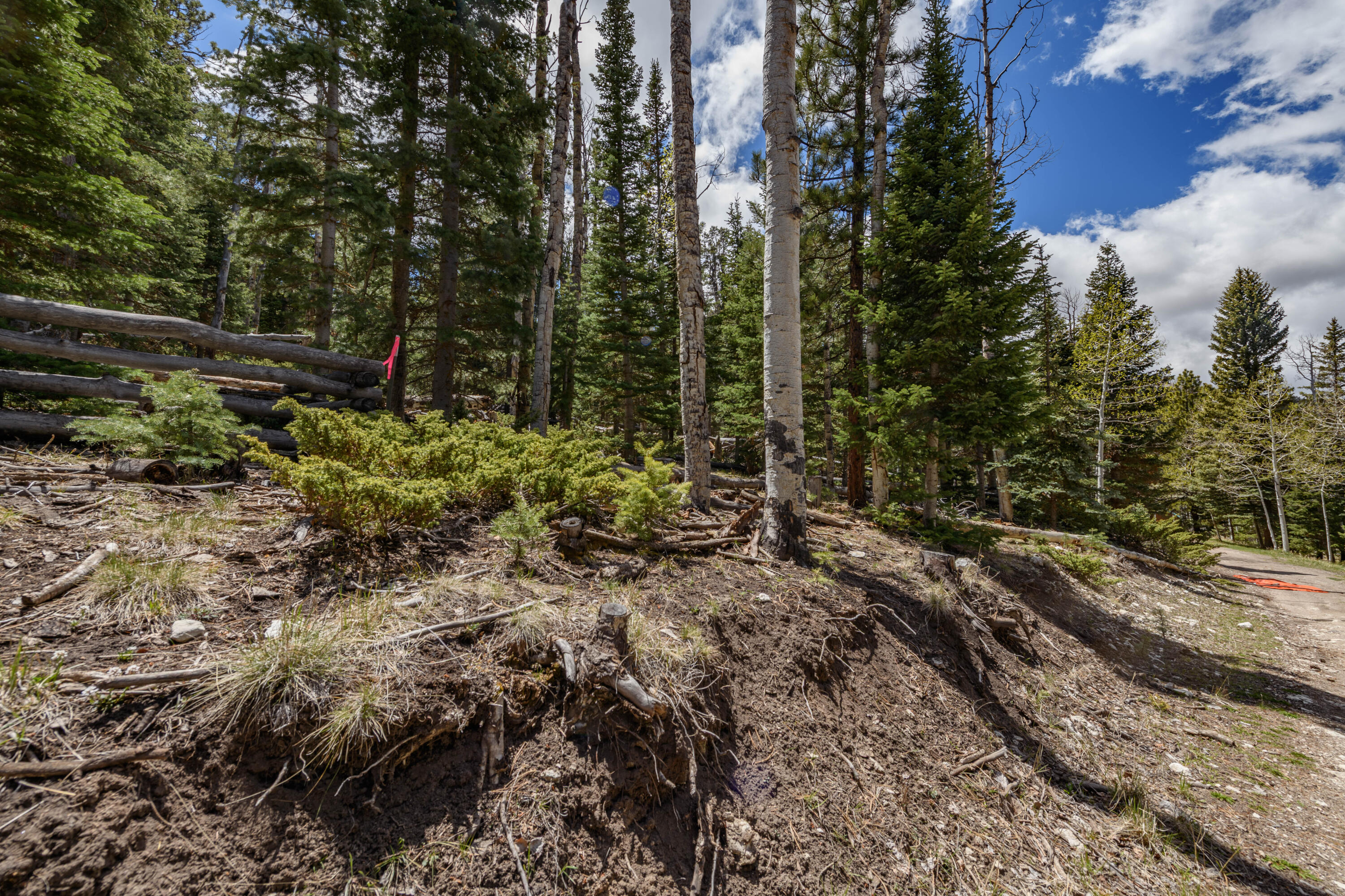 NOT AVAILABLE - Land