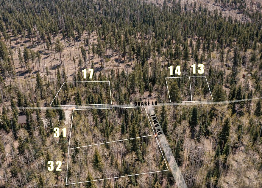 These Clear Creek Estates lots stand out from the rest of the subdivision with
something truly rare: direct access to Dixie National Forest right behind the property line. Only
a handful of lots in this area back up to thousands of acres of public land, and these are among
them. They are also build-ready, with power available and water supplied through shared well
agreement with the Seller. The water is known locally for its clean, refreshing mountain quality
and taste (please note, there are no water rights being transferred with the land). And while
nearby areas like Duck Creek have become busier and more expensive, this quieter pocket near
Panguitch Lake remains more affordable and less discovered. A nearby stream and sweeping
high-country views create an ideal setting for your cabin, getaway, or long-term mountain
investment. Enjoy cool summer temperatures, crisp mountain air, and endless outdoor recreationfishing, boating,
hiking, ATV riding, dirt biking, horseback trails, winter fun at Brian Head Resort, and the
stunning wonders of Cedar Breaks, Bryce Canyon, Zion National Park, Escalante, and the
popular Duck Creek Village area. "Panguitch" comes from the Paiute word for "big fish," and the
region lives up to its name with excellent trout fishing and year-round adventure.
Whether you're dreaming of a cozy cabin or a peaceful retreat away from city life and desert
heat, this location delivers. Nearly year-round access, natural surroundings, and proximity to
some of Southern Utah's most iconic landscapes make these lots a standout opportunity.
Seller is willing to build to suit, or you may bring your own builder. Seller financing available.