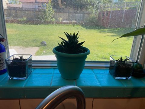 Tiny photo for 1112 Tamarisk DR, Saint George, UT 84790 (MLS # 26-270887)