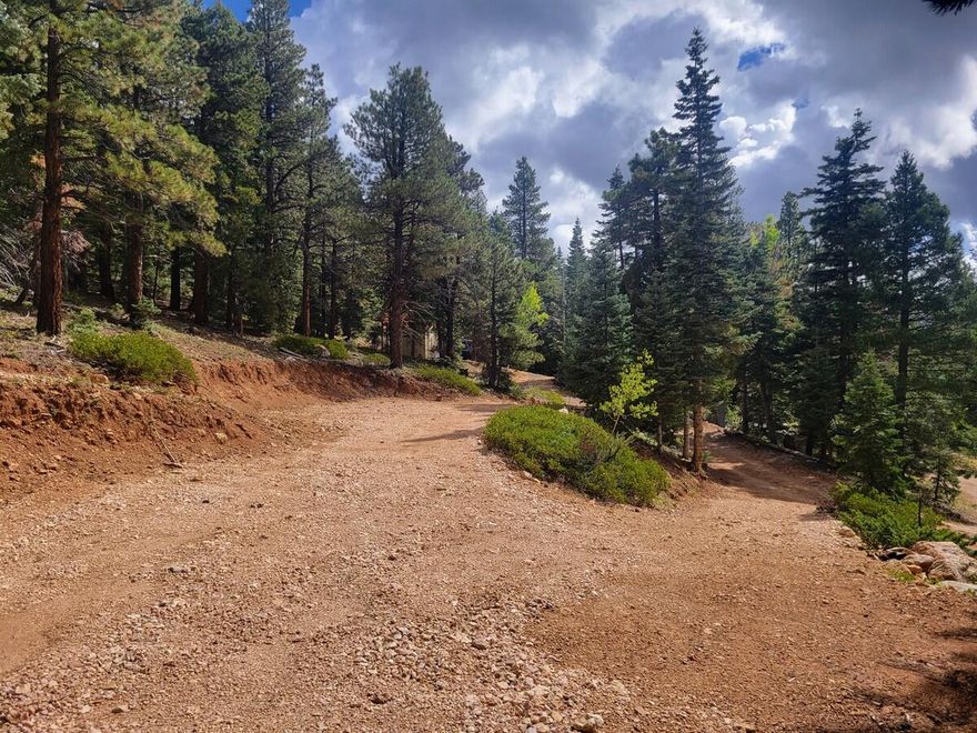 Just 5 miles away from Navajo Lake this larger lot is ready for a new owner to enjoy. The property is sloped which provides an spectacular view of the surrounding mountains. The lot is nicely wooded with tall pine and a driveway with a large building or camping pad. The county allows seasonal trailers making this your own special campsite with an RV/Travel Trailer or place for you to build your dream cabin while enjoying the view. Water is hauled by the property owner and would be stored in a tank at the property. Power will be provided by either a solar system or generator. Enjoy this investment without worries of additional monthly bills. Access to this lot by vehicle is seasonal and during the winter months is by a snowmobile. Fishing and boating at Navajo Lake. This area has easy access to the 32 mile Virgin River Rim Trail and the gateway to the famous Zion Narrows 17 mile hike.