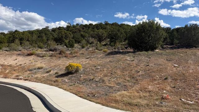 Photo of 3503 W Sevy ST, Cedar City, UT 84720 (MLS # 26-277023)