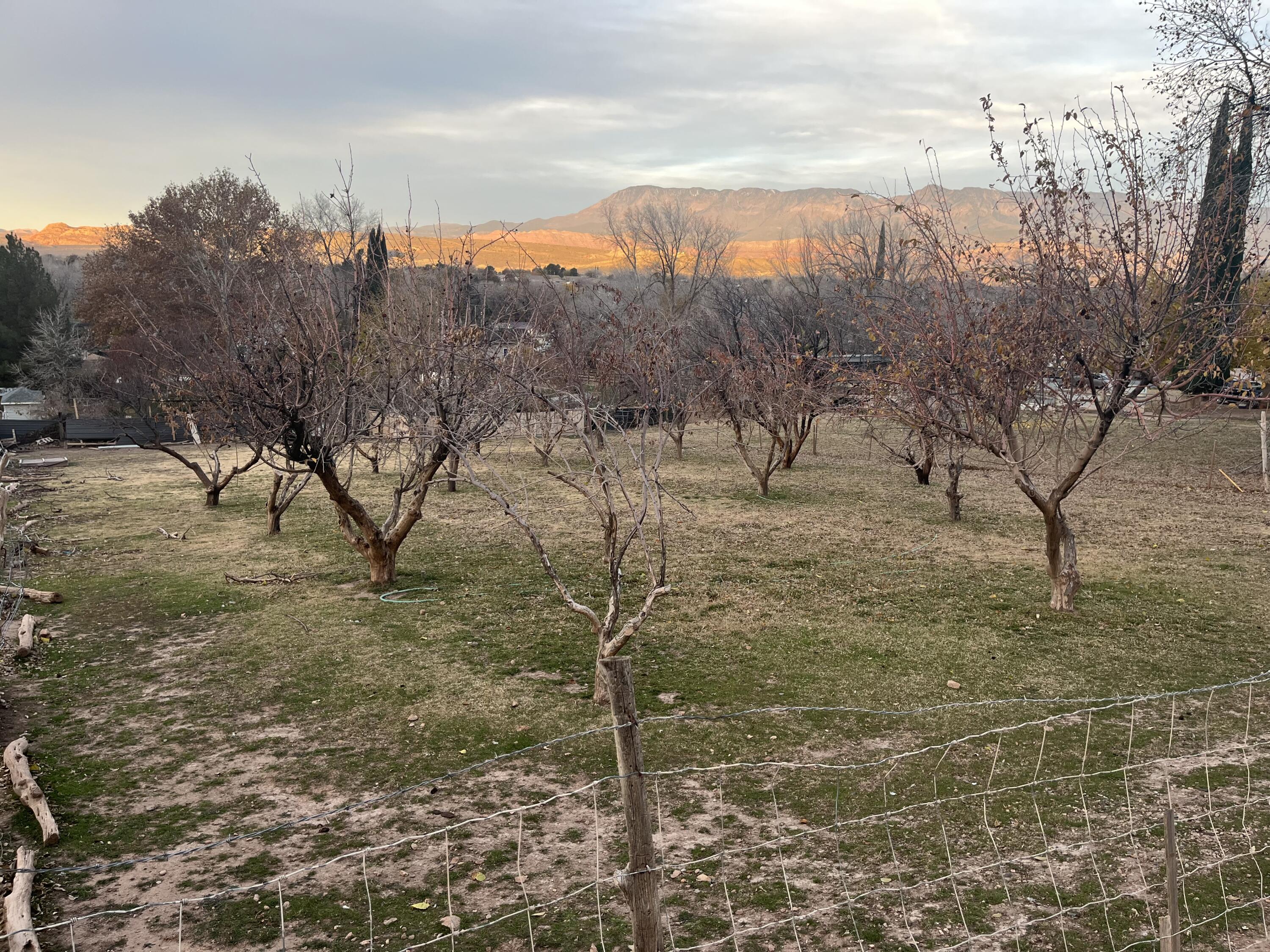 LAVERKIN TOWNSITE AND FIELD - Land