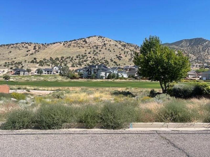 Build your perfect home on this great lot backing to the 16th fairway of Cedar Ridge Golf Course. Fantastic views all around. block fence is already on two sides of the pro[erty. No HOA! Agent is related to seller.