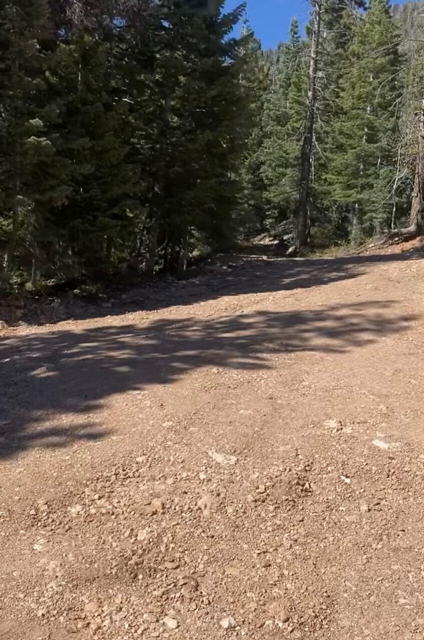 NOT AVAILABLE - Land